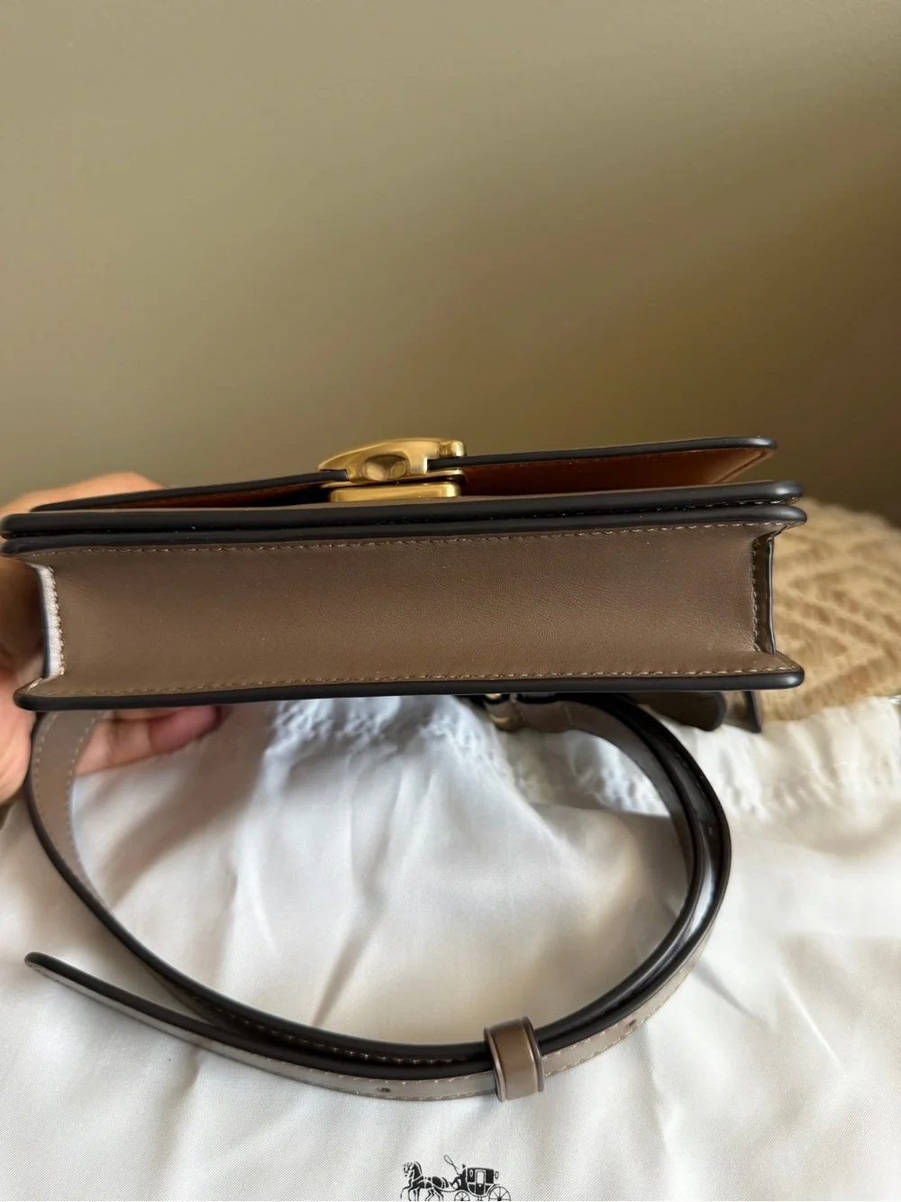 Coach Bandit Belt Bag